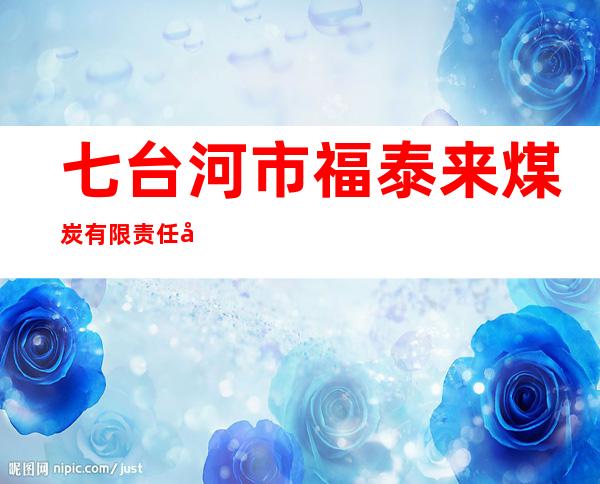 七台河市福泰来煤炭有限责任公司五井