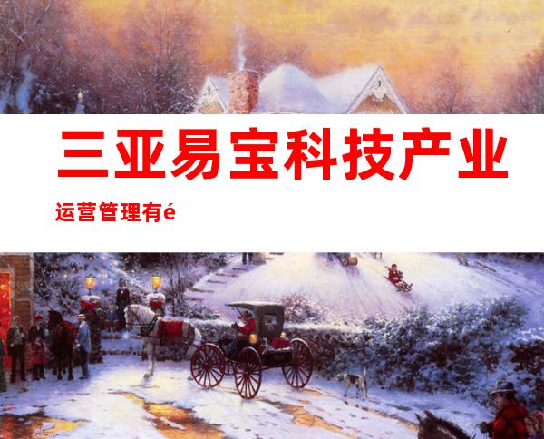 三亚易宝科技产业运营管理有限公司