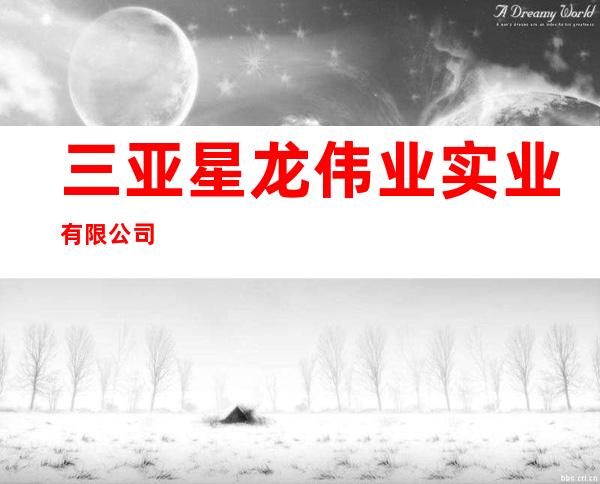 三亚星龙伟业实业有限公司