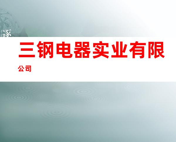 三钢电器实业有限公司