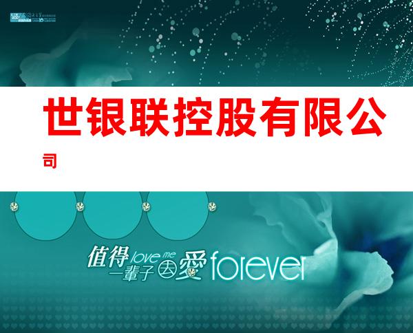 世银联控股有限公司