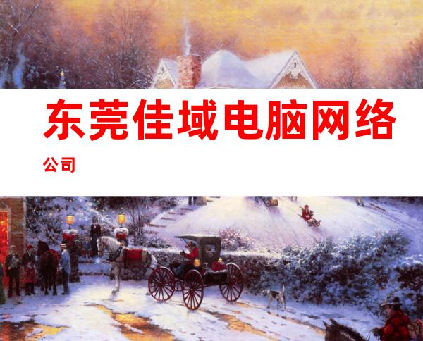 东莞佳域电脑网络公司