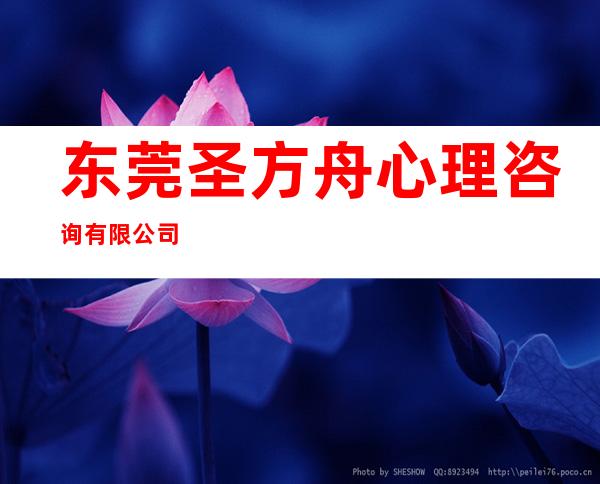 东莞圣方舟心理咨询有限公司