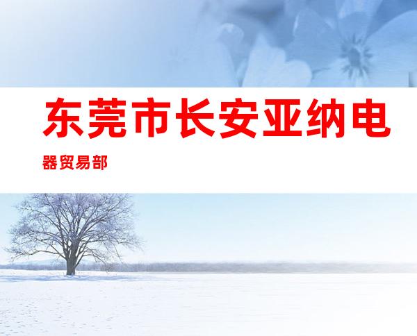 东莞市长安亚纳电器贸易部