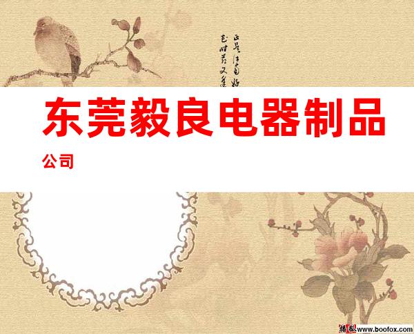 东莞毅良电器制品公司