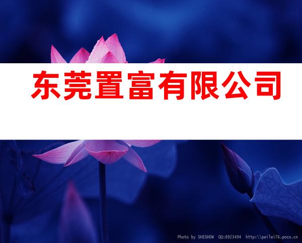 东莞置富有限公司