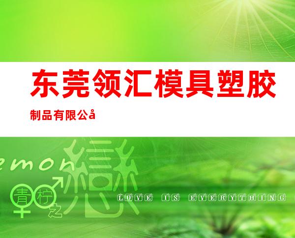 东莞领汇模具塑胶制品有限公司