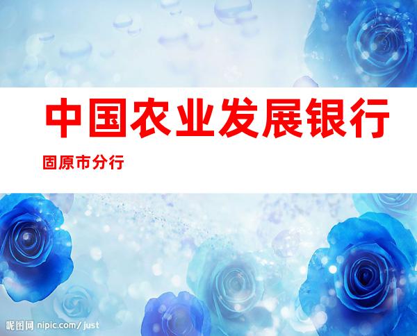 中国农业发展银行固原市分行