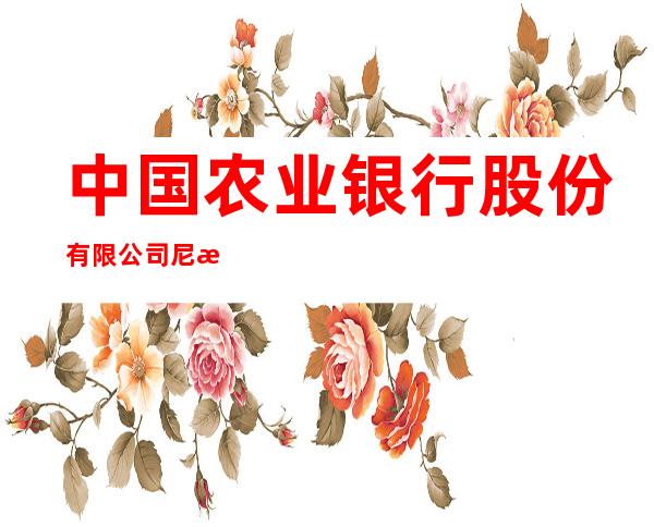 中国农业银行股份有限公司尼木吞营业所