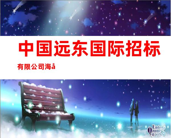 中国远东国际招标有限公司海南分公司