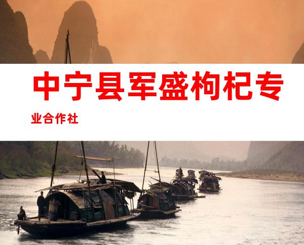 中宁县军盛枸杞专业合作社