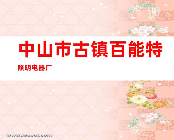 中山市古镇百能特照明电器厂