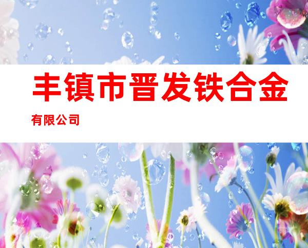 丰镇市晋发铁合金有限公司