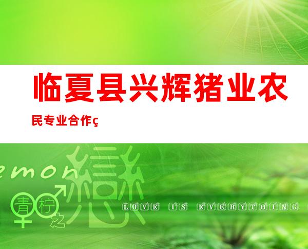 临夏县兴辉猪业农民专业合作社