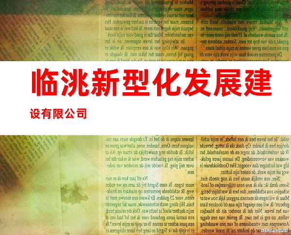 临洮新型化发展建设有限公司