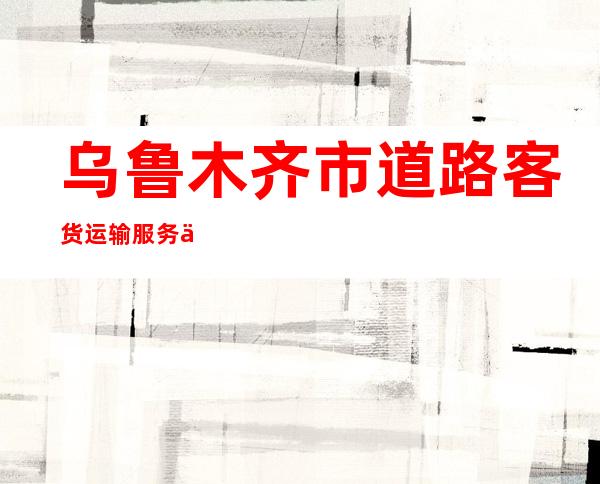 乌鲁木齐市道路客货运输服务中心出租车队