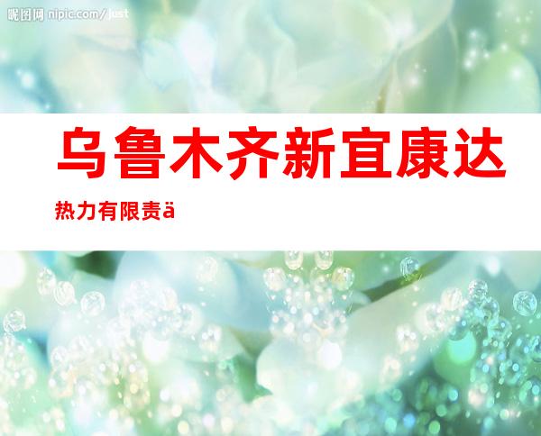 乌鲁木齐新宜康达热力有限责任公司