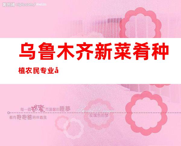 乌鲁木齐新菜肴种植农民专业合作社