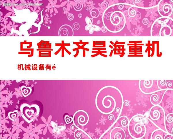 乌鲁木齐昊海重机机械设备有限公司