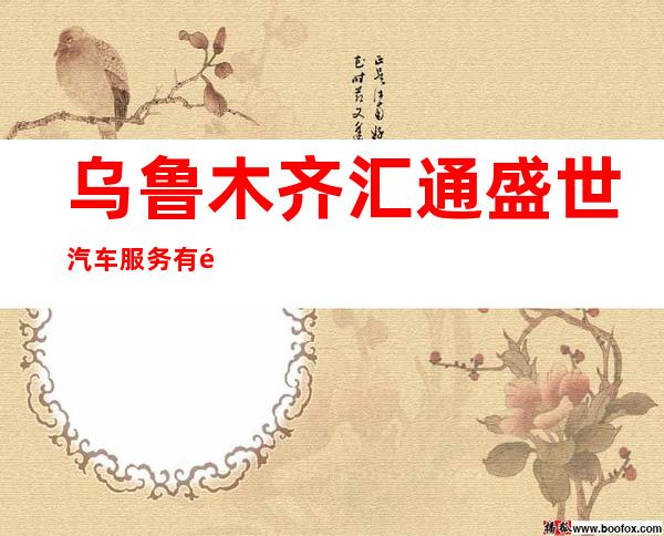 乌鲁木齐汇通盛世汽车服务有限公司