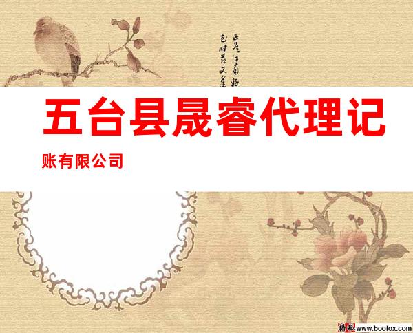 五台县晟睿代理记账有限公司