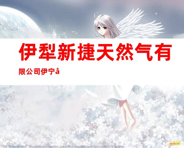 伊犁新捷天然气有限公司伊宁县高速公路南加气站