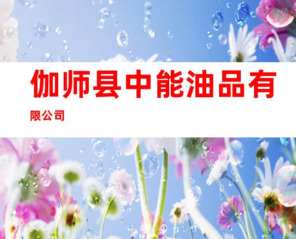 伽师县中能油品有限公司
