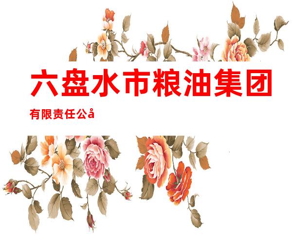 六盘水市粮油集团有限责任公司