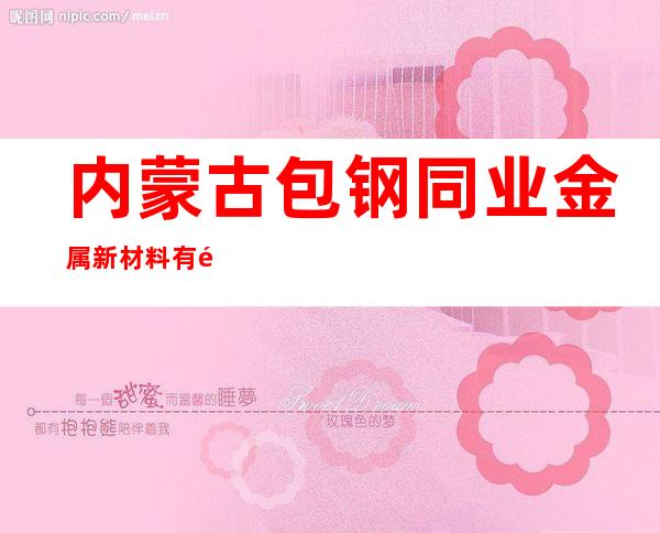 内蒙古包钢同业金属新材料有限公司