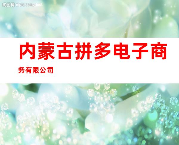内蒙古拼多电子商务有限公司