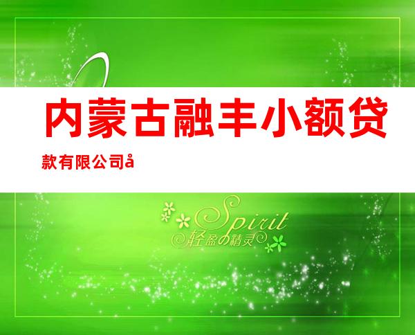 内蒙古融丰小额贷款有限公司包头市分公司