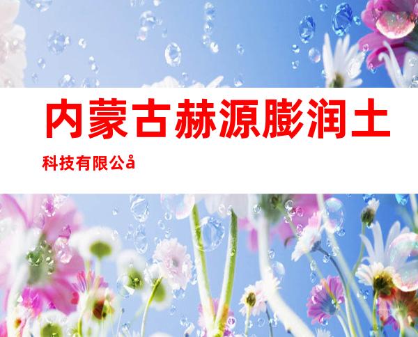 内蒙古赫源膨润土科技有限公司