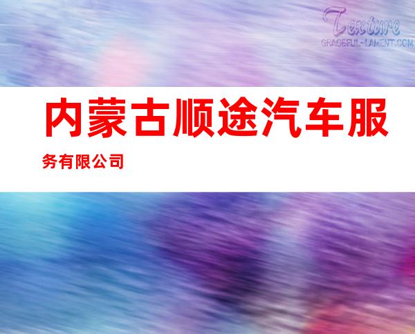 内蒙古顺途汽车服务有限公司