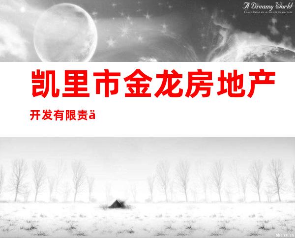 凯里市金龙房地产开发有限责任公司