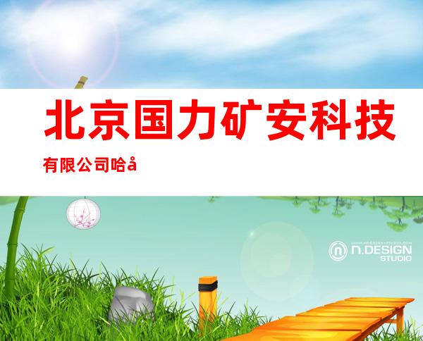 北京国力矿安科技有限公司哈尔滨分公司