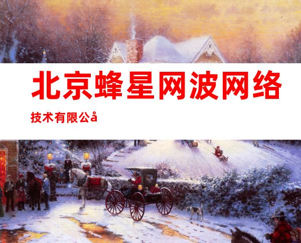 北京蜂星网波网络技术有限公司