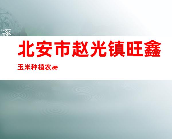 北安市赵光镇旺鑫玉米种植农民专业合作社