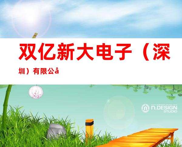 双亿新大电子(深圳)有限公司