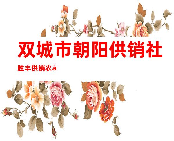 双城市朝阳供销社胜丰供销农家店
