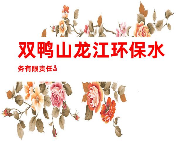 双鸭山龙江环保水务有限责任公司宝清分公司