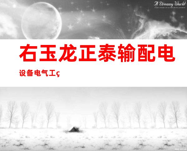 右玉龙正泰输配电设备电气工程有限公司