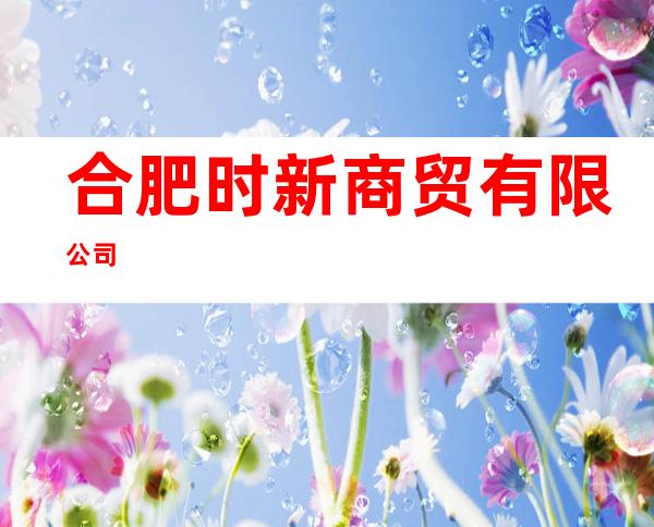合肥时新商贸有限公司