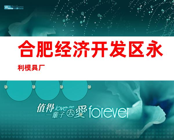 合肥经济开发区永利模具厂