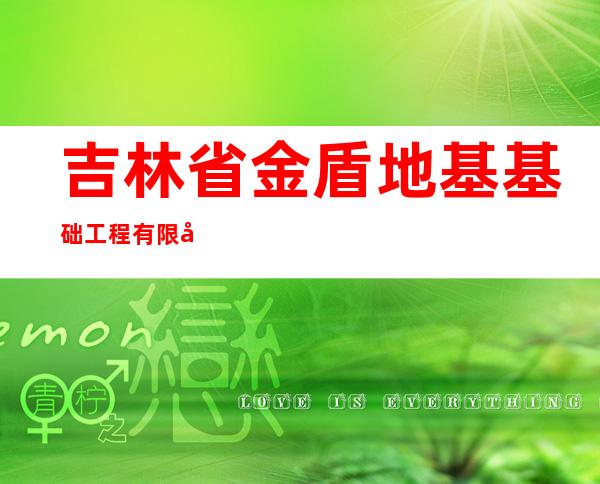 吉林省金盾地基基础工程有限公司