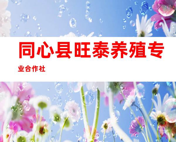 同心县旺泰养殖专业合作社