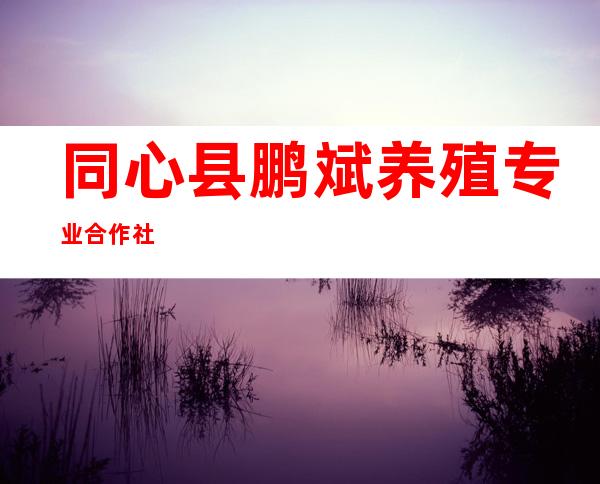 同心县鹏斌养殖专业合作社