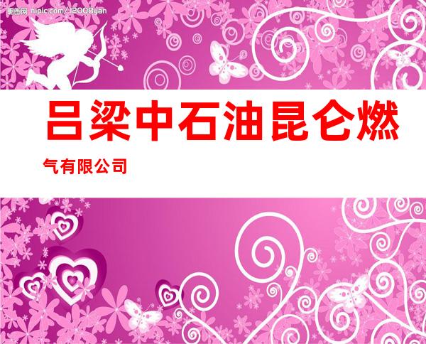 吕梁中石油昆仑燃气有限公司