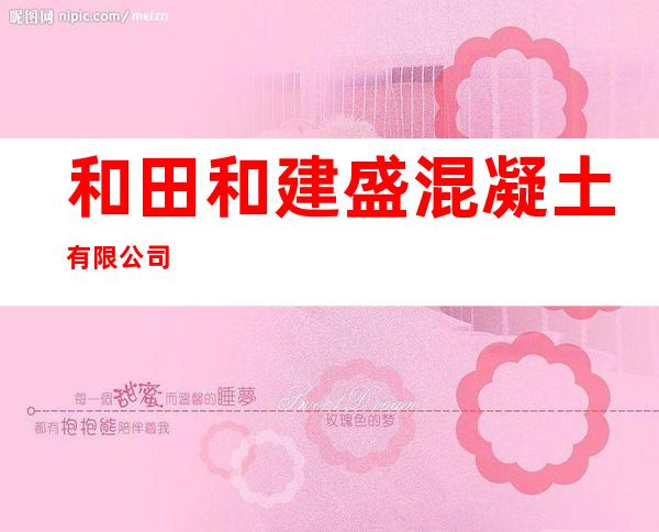 和田和建盛混凝土有限公司