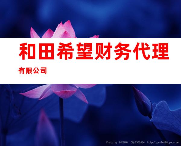 和田希望财务代理有限公司