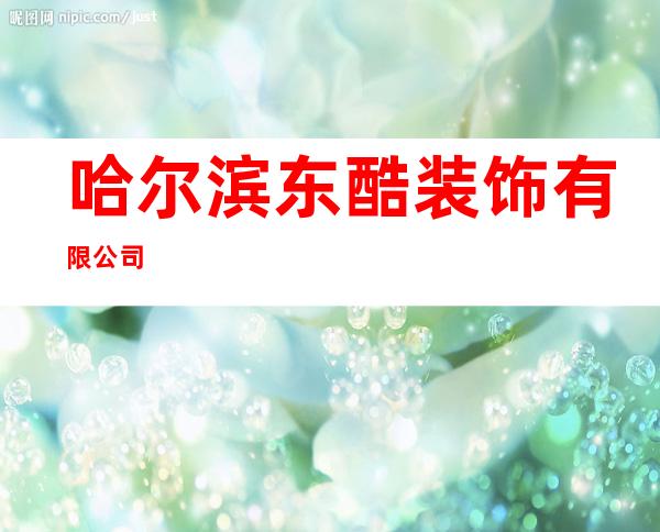 哈尔滨东酷装饰有限公司